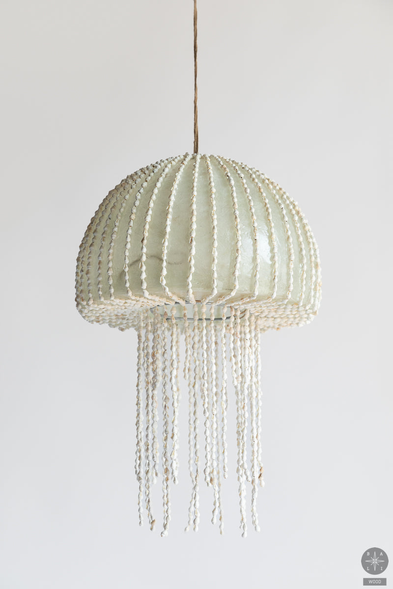 Chandelier made of shells