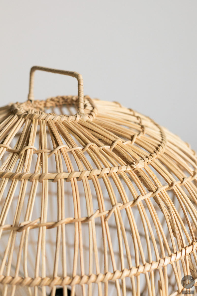 Rattan floor lamp