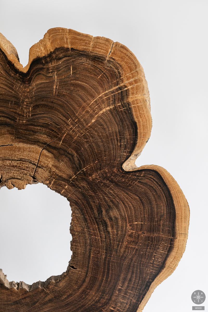 Suar tree decoration