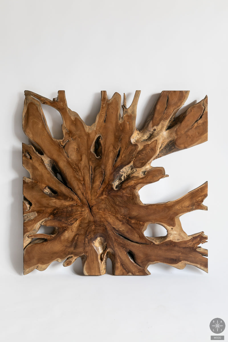 Wall decoration made of teak wood root