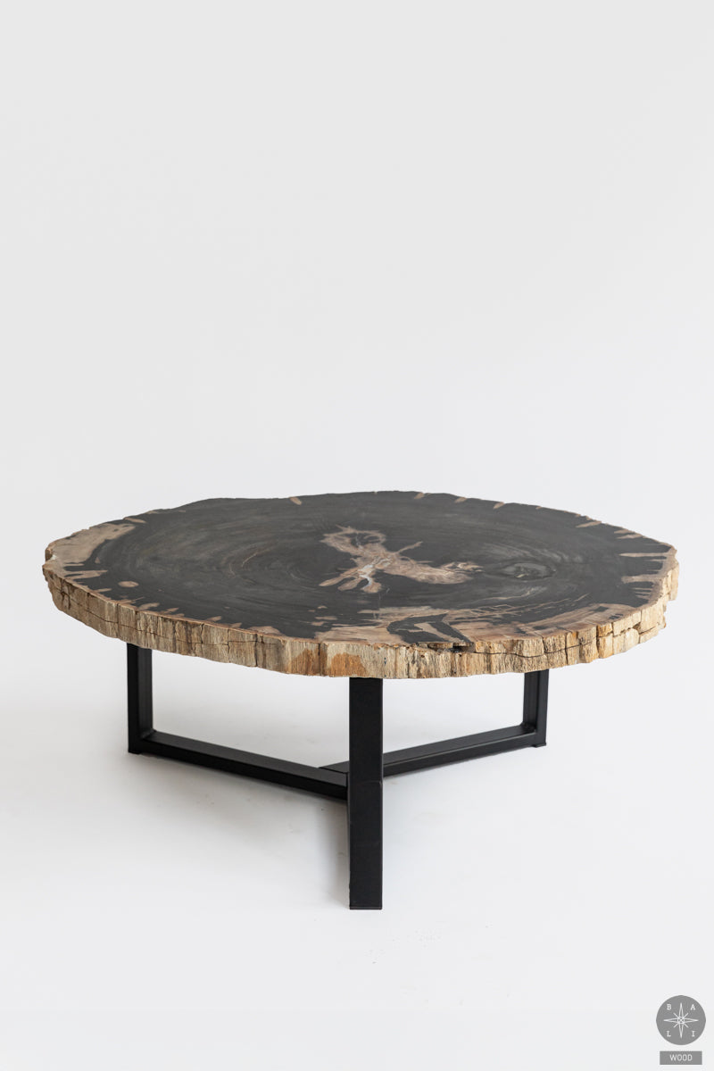 Fossil coffee table