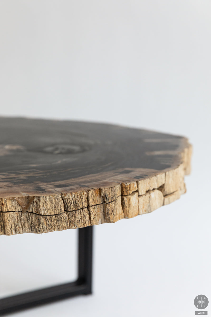 Fossil coffee table