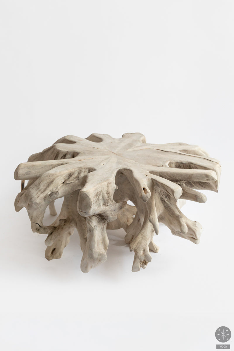 Bleached teak root table