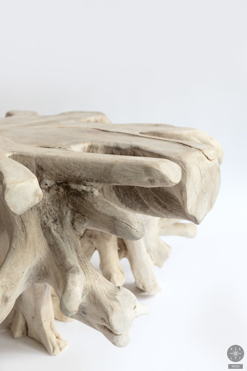 Bleached teak root table