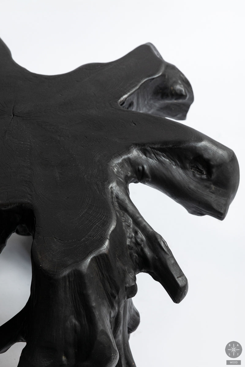 Teak wood root table