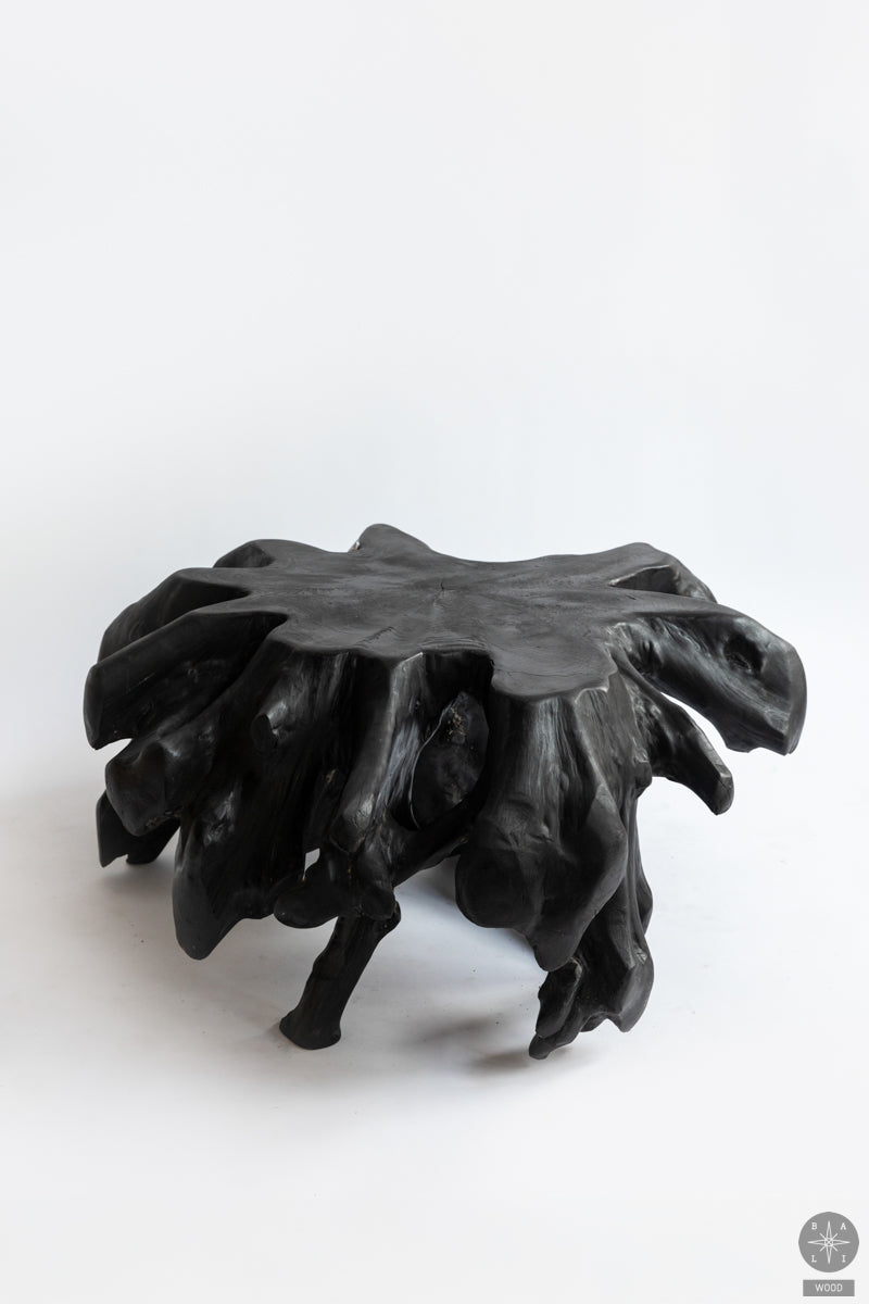 Teak wood root table