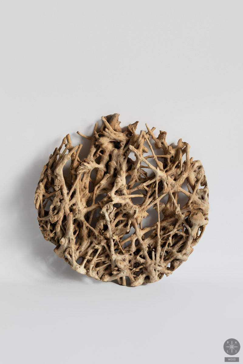Wall decoration made of teak wood root