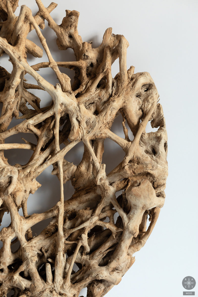 Wall decoration made of teak wood root