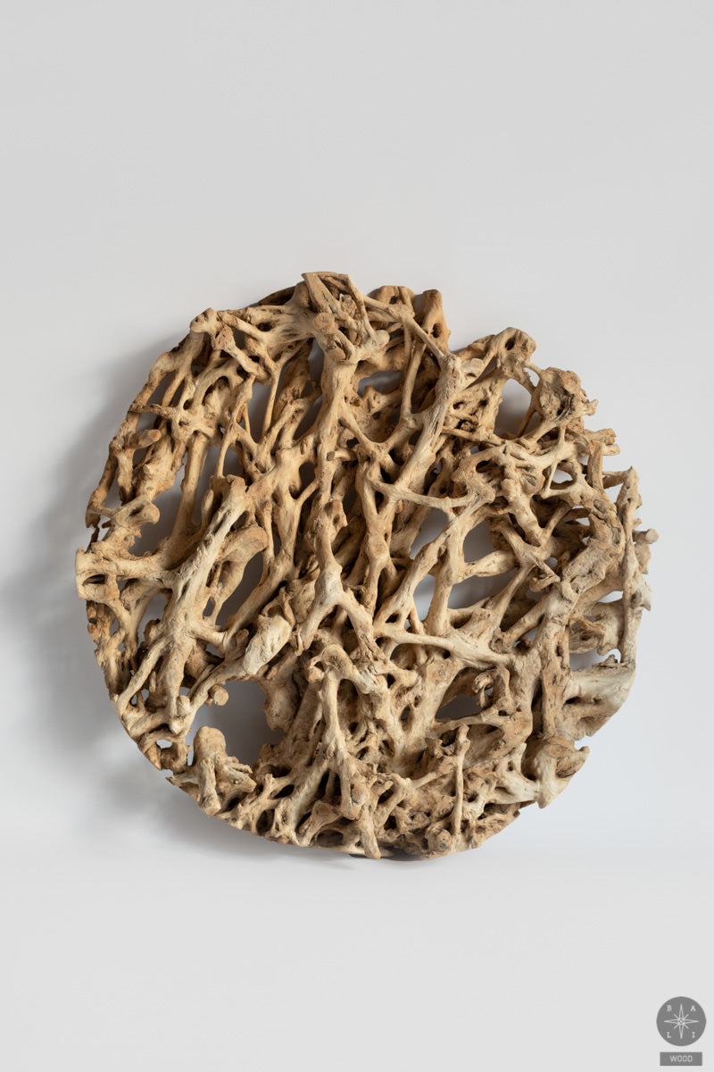 Wall decoration made of teak wood root