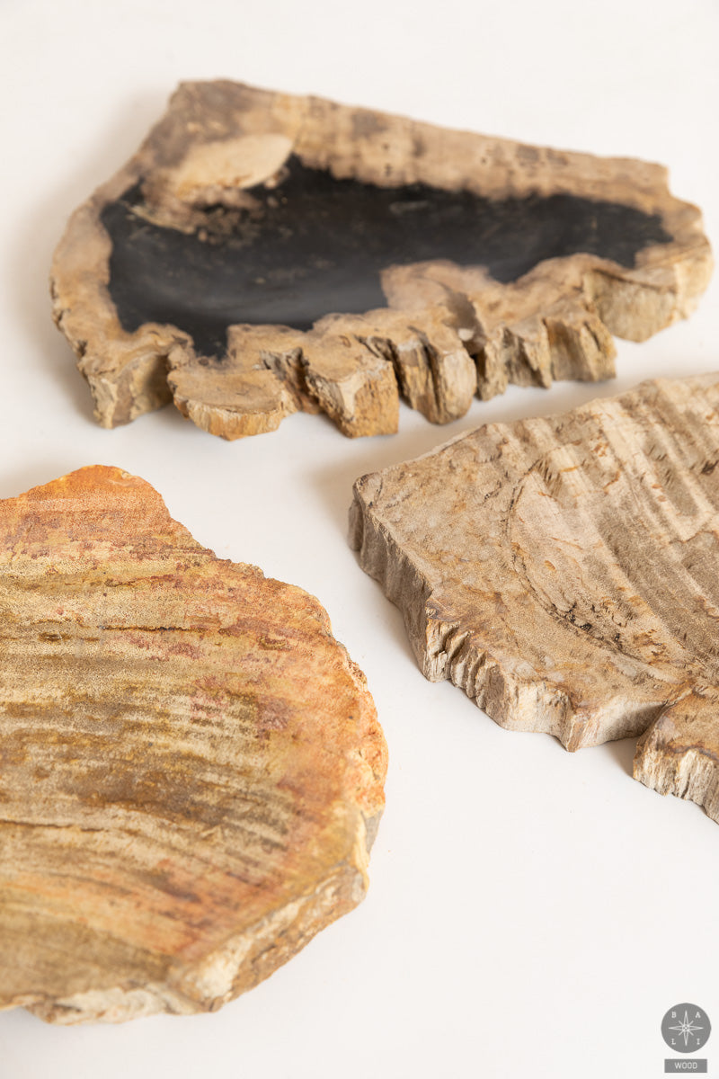 Soap dish made of fossil