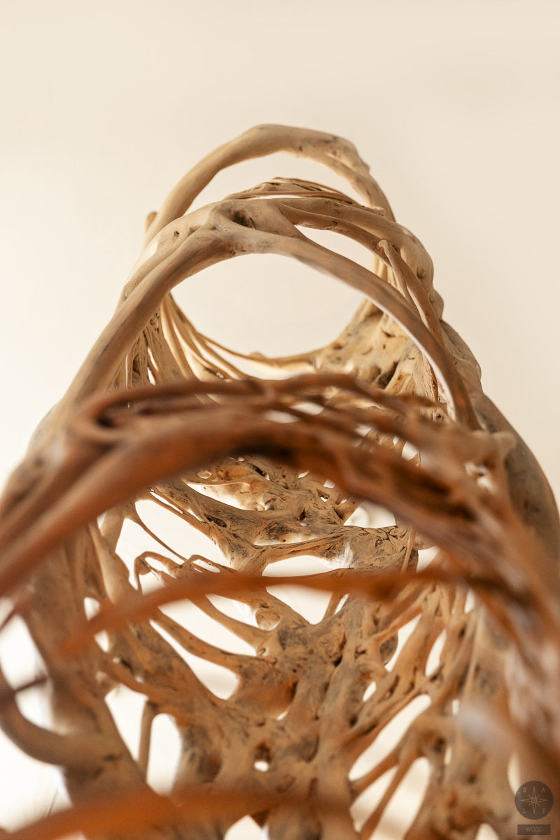 Sculpture from ficus tree