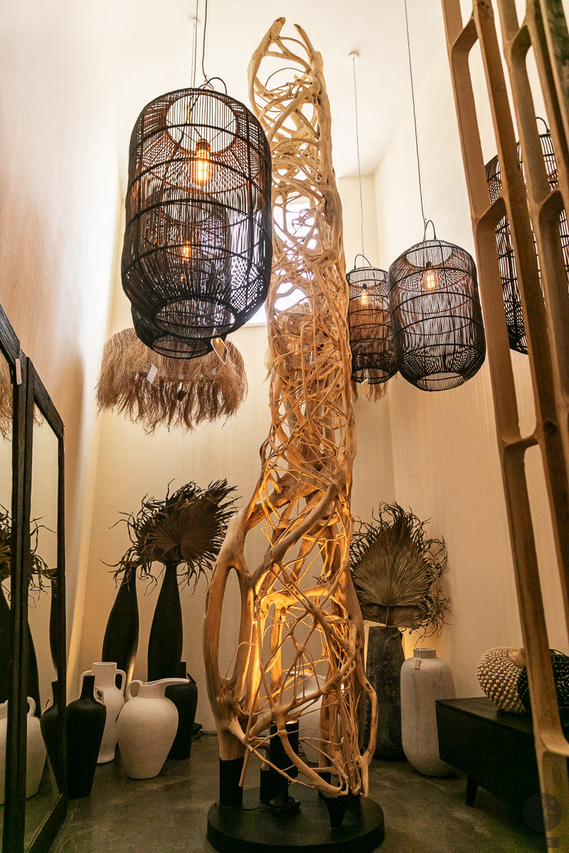 Sculpture from ficus tree