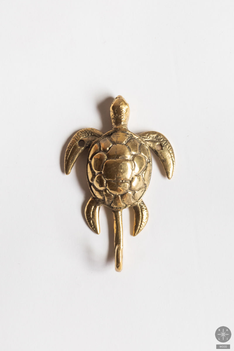 Bronze turtle hook