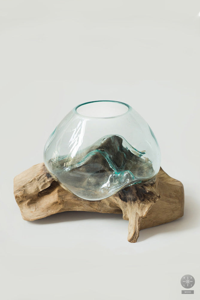 Aquarium with bleached wood base