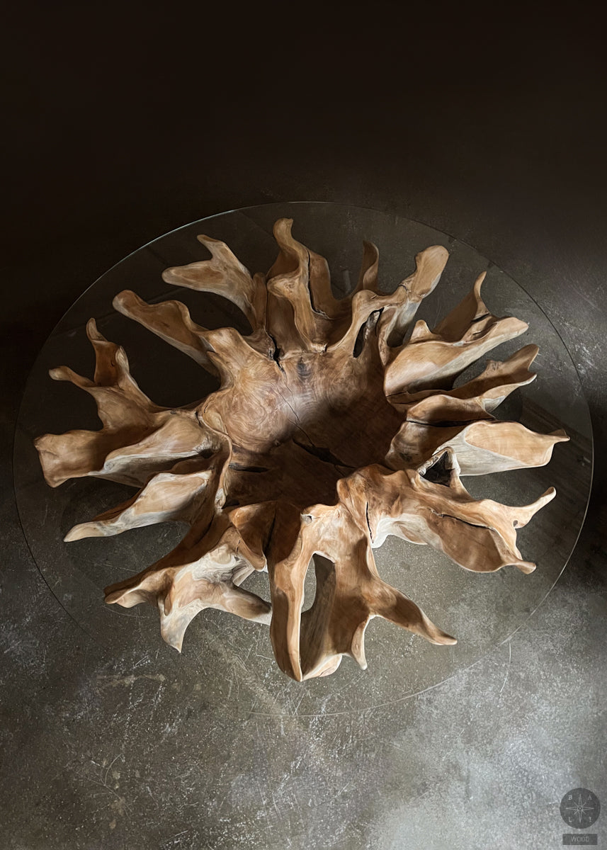 Teak wood root dining table with glass