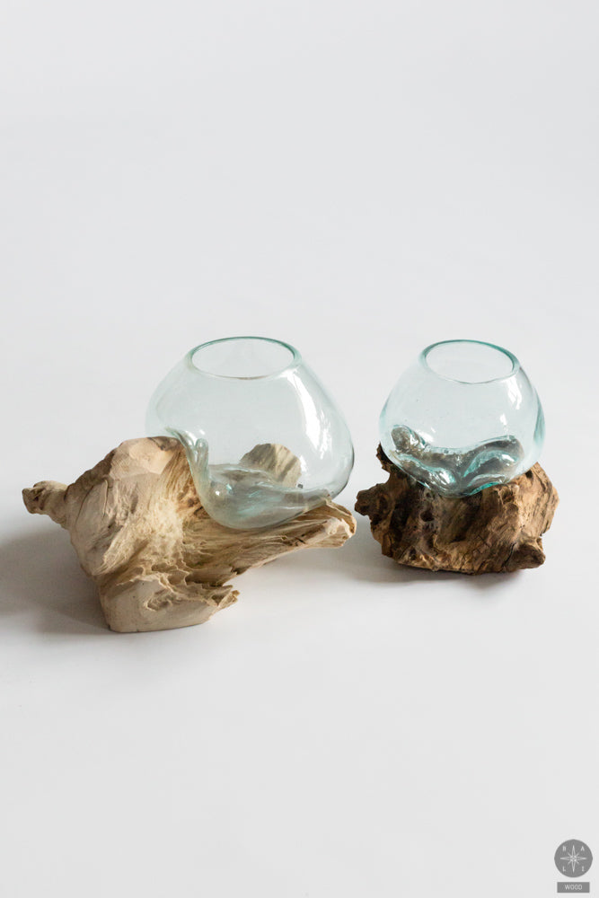 Aquarium with dark wood base