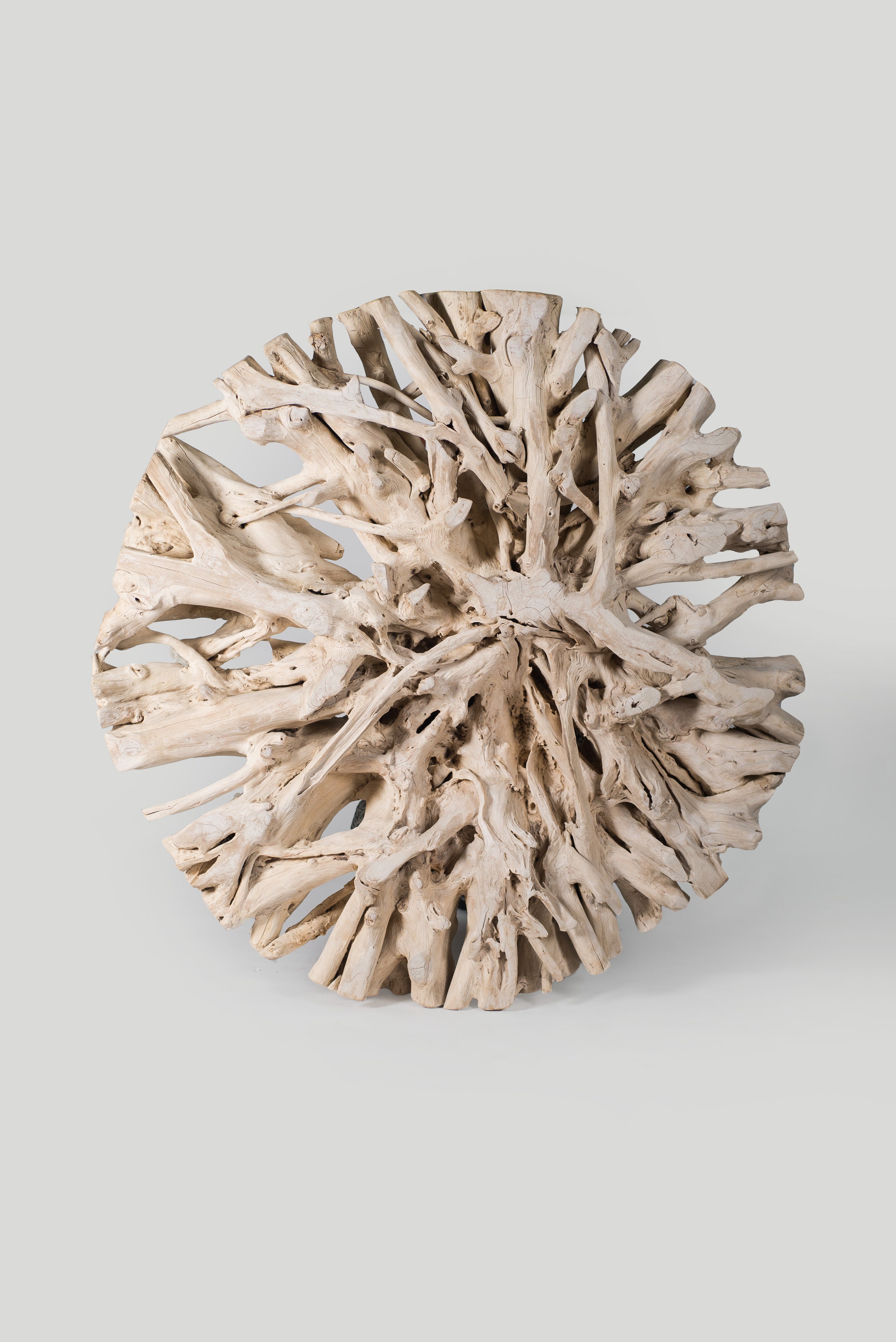 Wall decoration made of bleached teak root